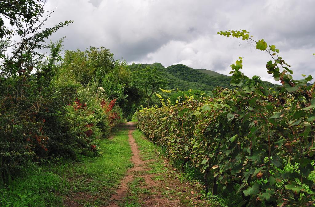 Finca Cielo Verde Chicoana Extérieur photo